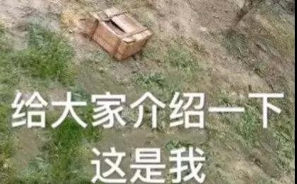 灵活组排恶心人的阵容,盘点那些恶心队友