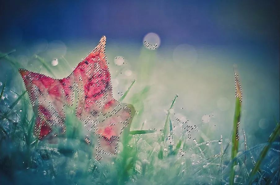 ps怎样把红叶背景人物照调色,秋景枫叶人像调色ps