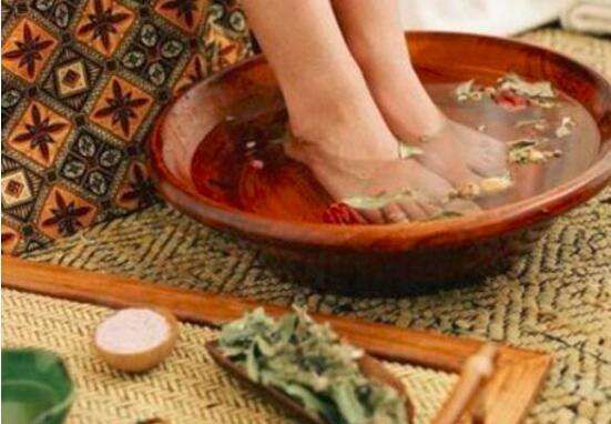 预防新冠肺炎，蕲艾有妙用