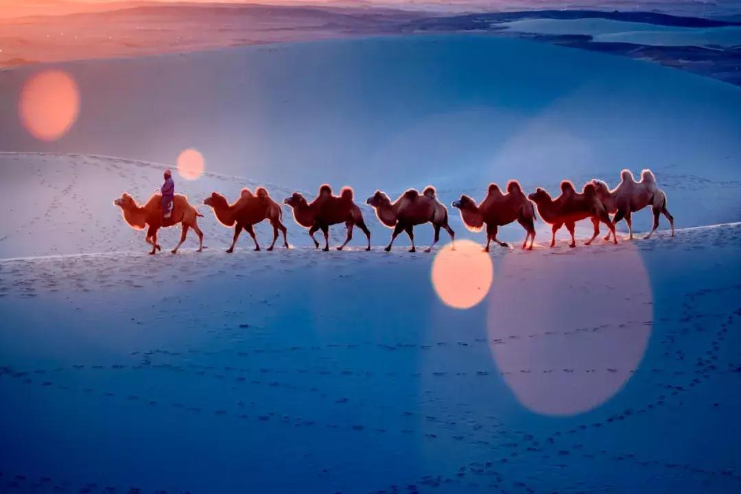 一个朝代一首诗带你看中国史,一个朝代一首诗吟诵中国史