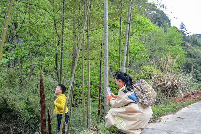 疫情对湖南这里居然丝毫没有影响！0病发，还超级适合徒步旅行！