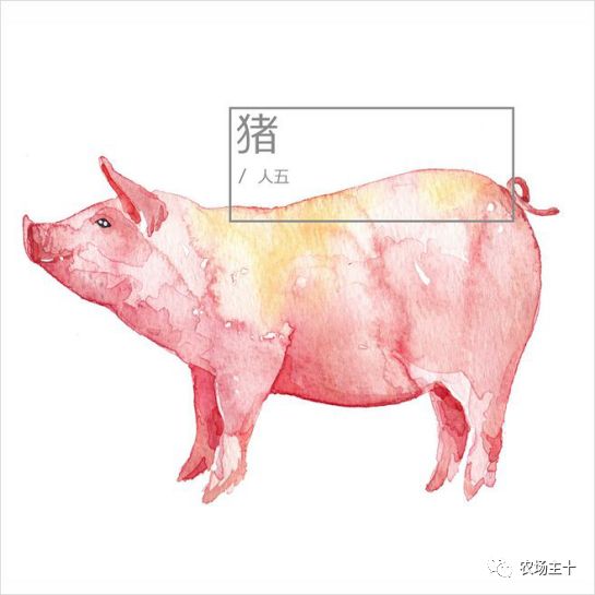 养猪场市场容量或变化趋势有哪些,养猪场的市场前景