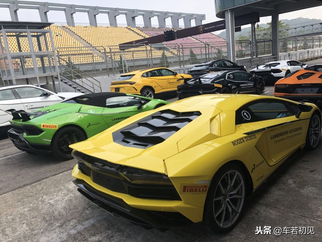 讲述放牛娃与蛮牛的完美邂逅，赛道试驾*博兰**基尼全系