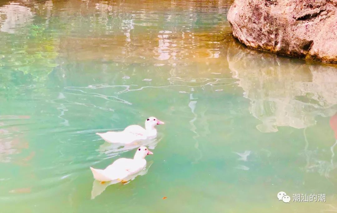 幽峪逸林门票在线购买,幽峪逸林最大瀑布