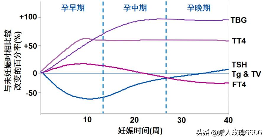 一天内连续测了两次肝功,查甲功要多久出结果