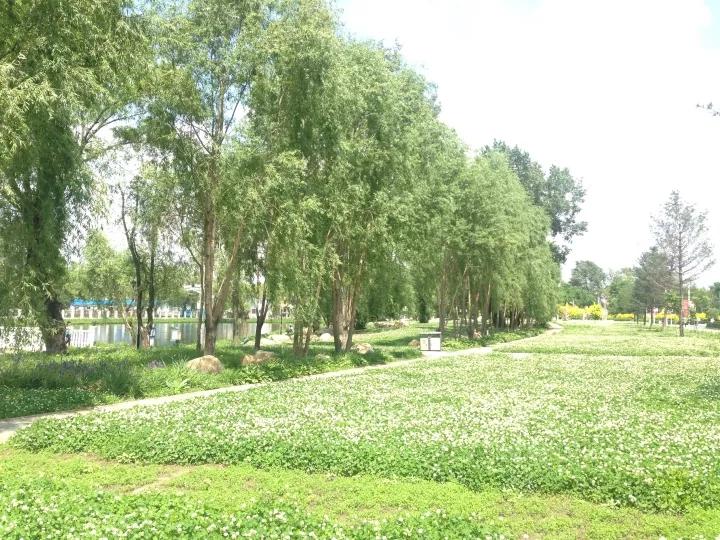 吉林省高校（二十一）长春中医药大学