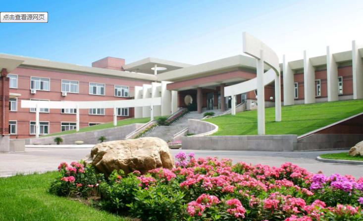 沈阳东北育才外国语,沈阳育才双语和育才外国语