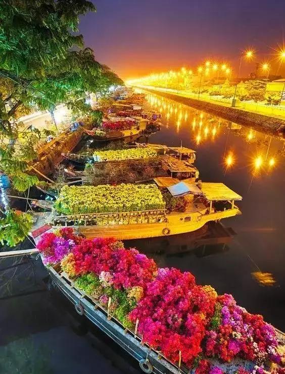 亚洲最大花市宛如仙境,中国最牛的花市