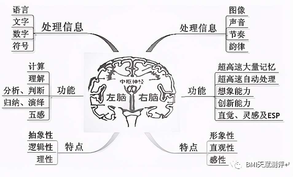 bmi儿童评判标准,bmi优秀等级的指数