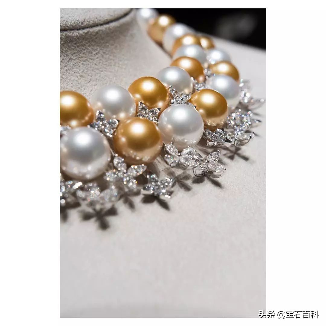 澳白珍珠和南洋金珍珠,澳白南洋白珍珠