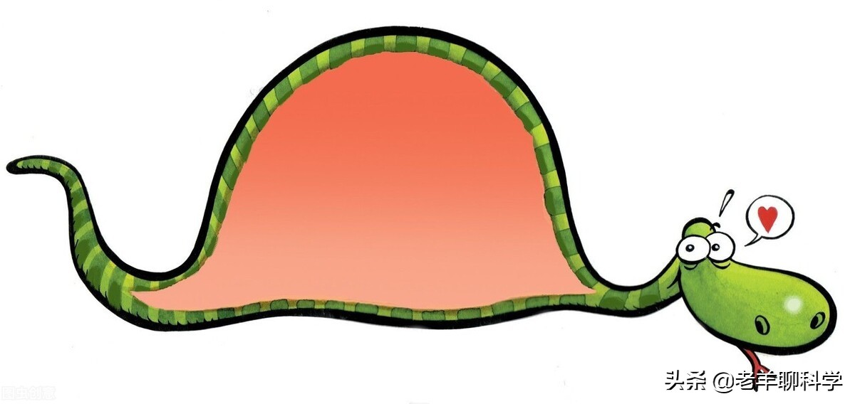 遇到大蟒蛇的自救方法,碰到大蟒蛇怎么自救