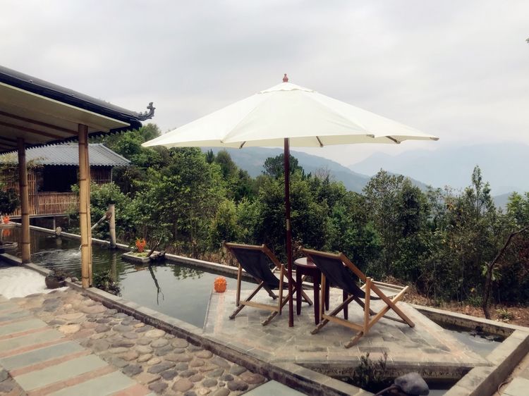 昔归，天下一品茗茶山行