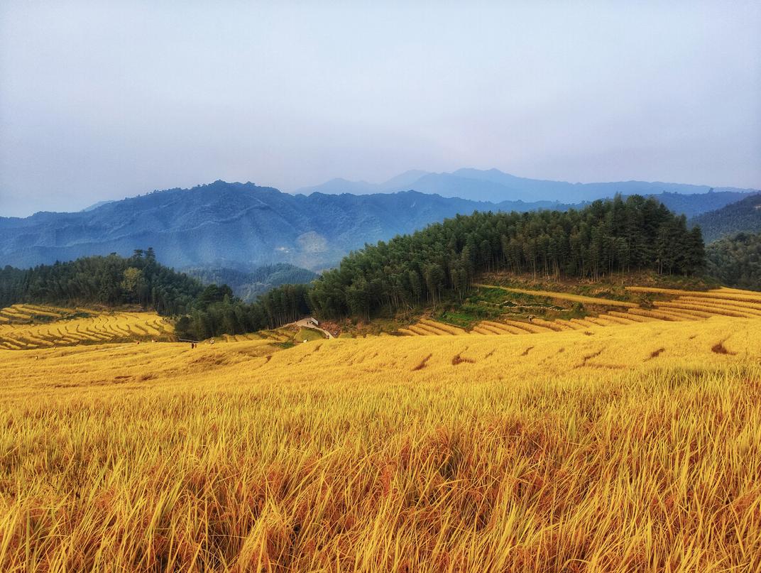 私藏菲律宾同款空中佛手，这座广东小城的落胃美食从早吃到晚