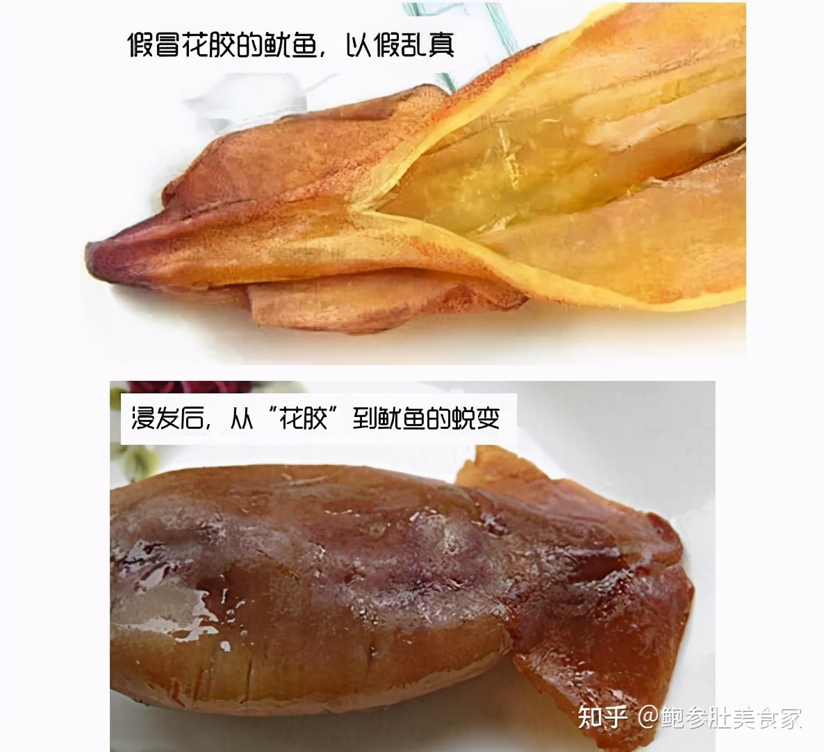 大门楼鲍参肚｜巴沙胶＝合成胶？这样的花胶白送都白送都不要