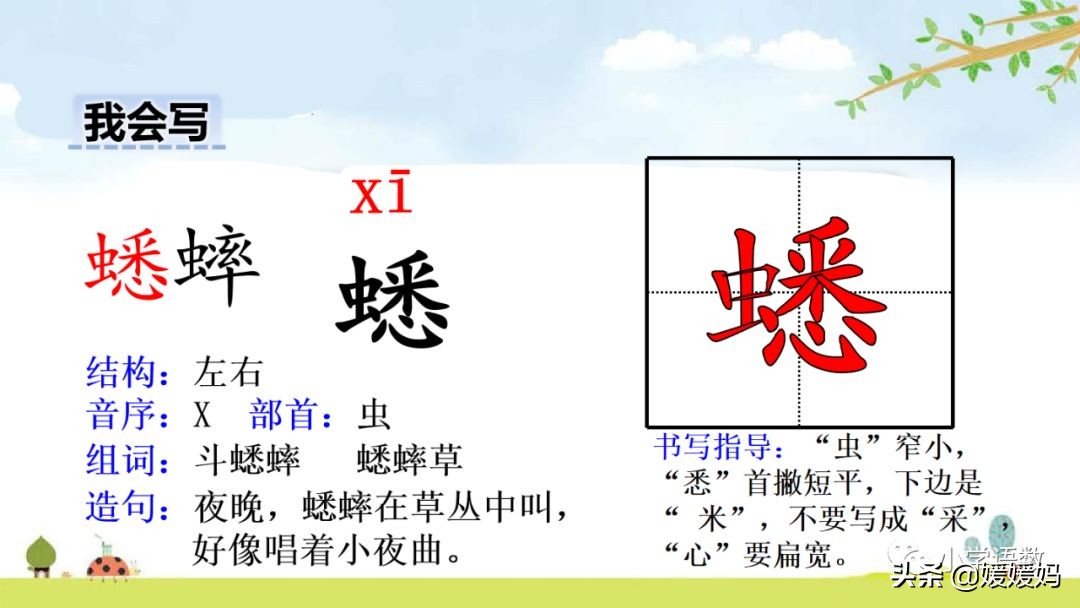 六年级下册语文表里的生物朗诵,六年级下册表里的生物小练笔400字