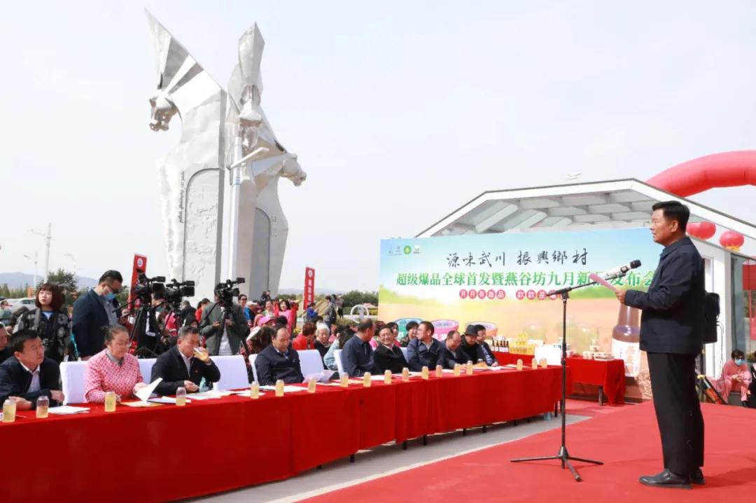 第三届中国农民丰收节汝南,益阳市第三届中国农民丰收节举行