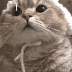 万圣节攻略广州长隆北门,长隆万圣节最强攻略