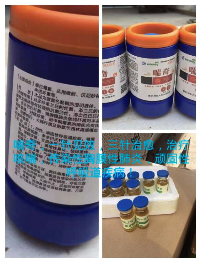 常见羊病分析表格,常见羊病的治疗及预防分析