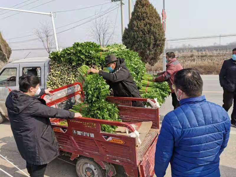 山村党员代购员有哪些,原农村的代购代销员