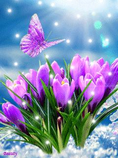 50张极致水中花美照!绝世千年!一次一张!(速看)