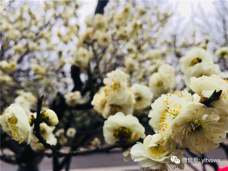 杨凌现状,杨凌最新照片