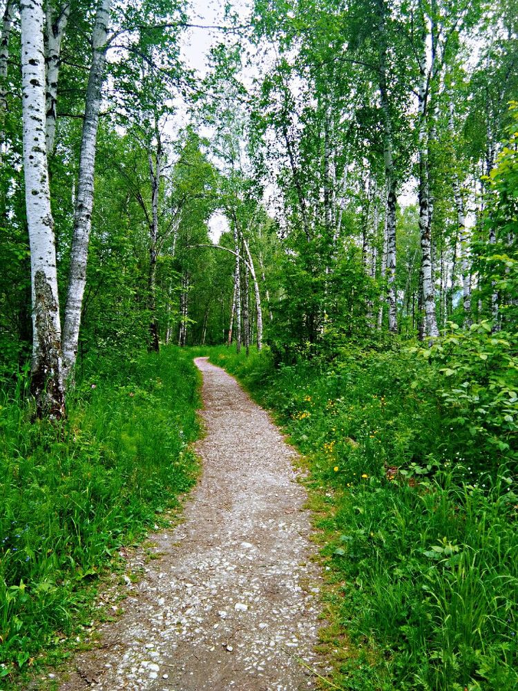 俄罗斯自驾游最佳时间表,俄罗斯自驾游攻略最佳线路