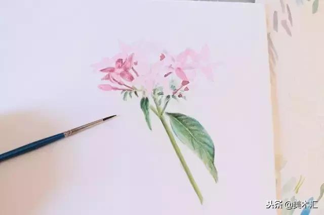 画一幅关于花的简单又好看的画,画一朵花怎么画好看