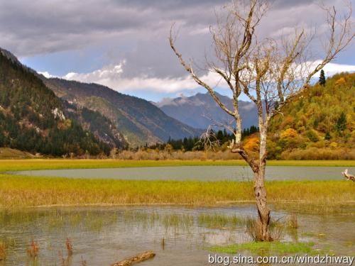 想带你去欣赏秋季的童话——甘海子