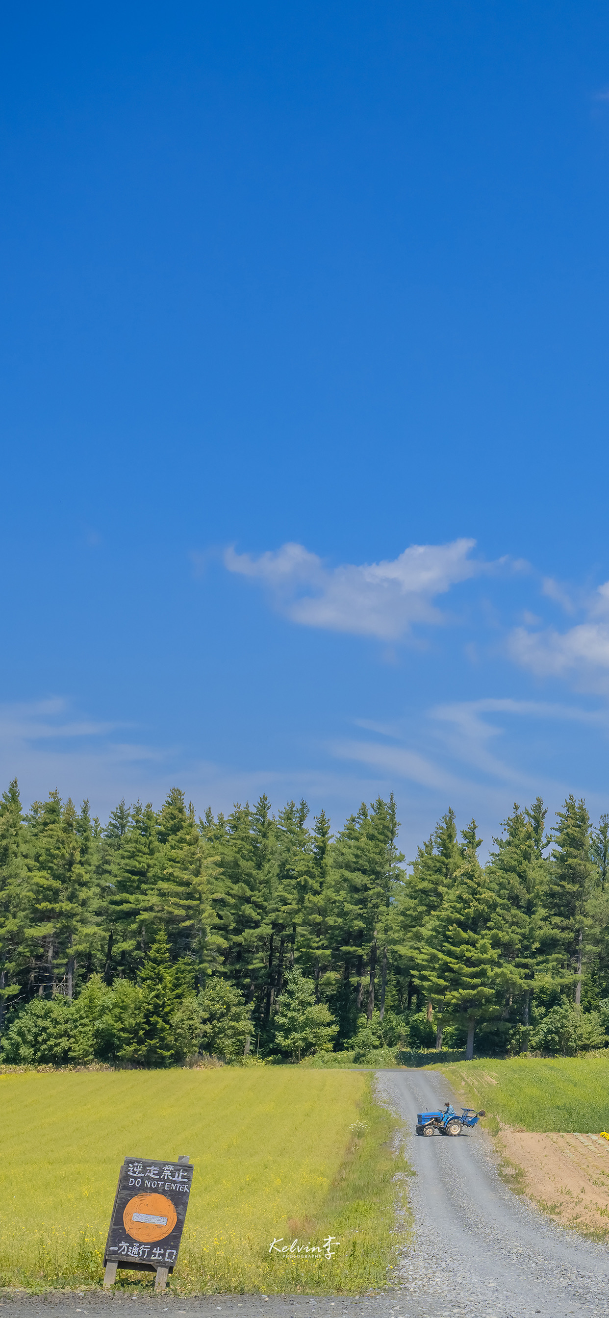 一些高质量手机壁纸（264），清新治愈系