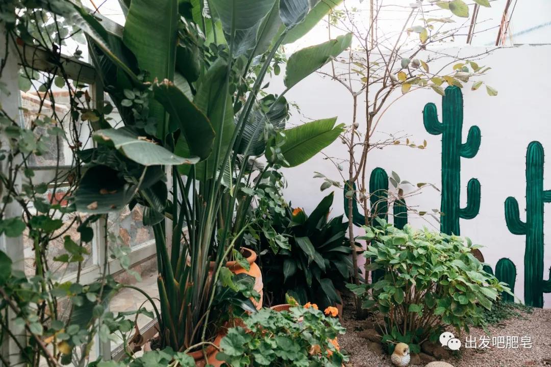 青岛亲子餐厅大盘点2.0，带娃全部吃过才有这份实力榜单