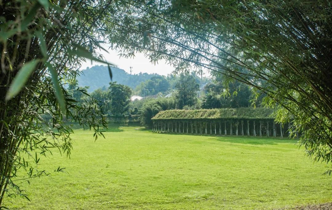 莫干山原木风绿野仙踪花园民宿,莫干山桃坡探险乐园绿野仙踪