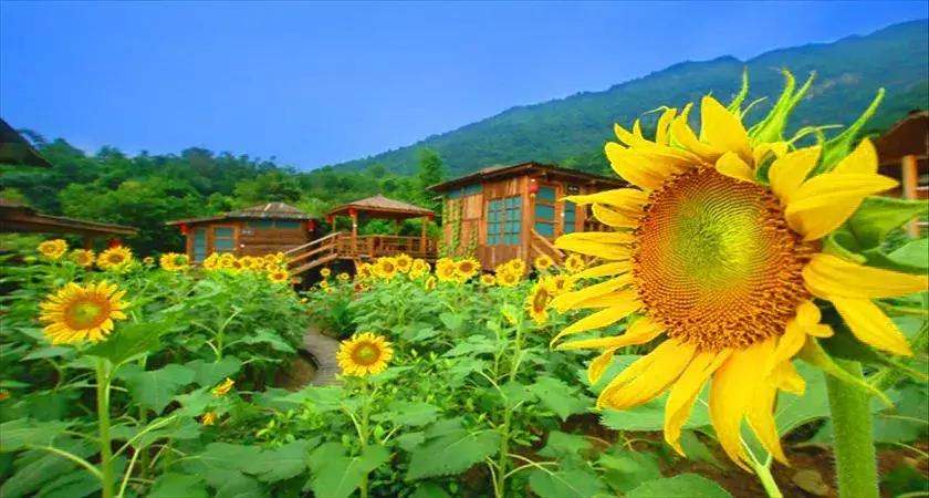 清远英德九州驿站图片,清远天门沟九州驿站