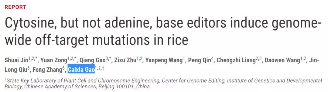 人类首次通过基因编辑攻克隐性遗传病！用单碱基编辑治愈耳聋小鼠