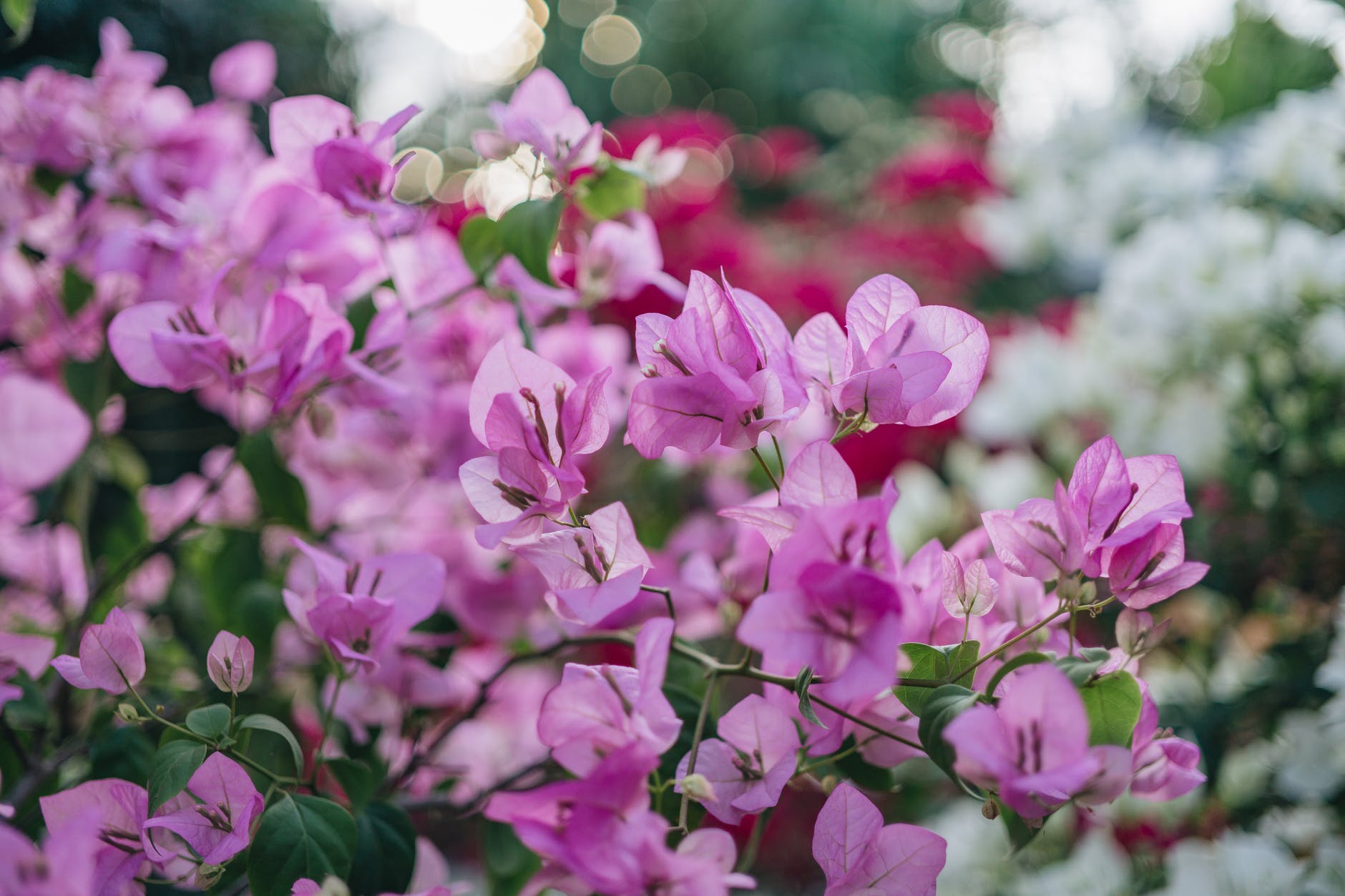 男人要怎么样学会哄女孩子,男人如何一步步哄女人视频