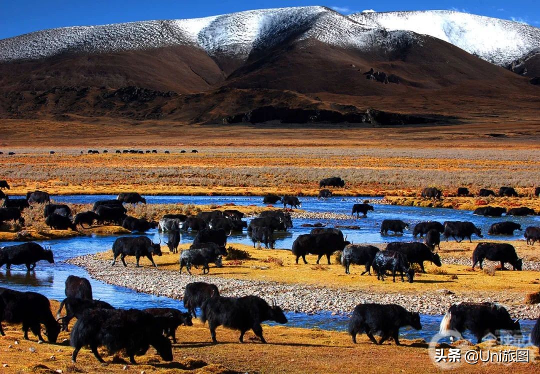 美图欣赏黄河全貌,航拍九曲黄河最美视频