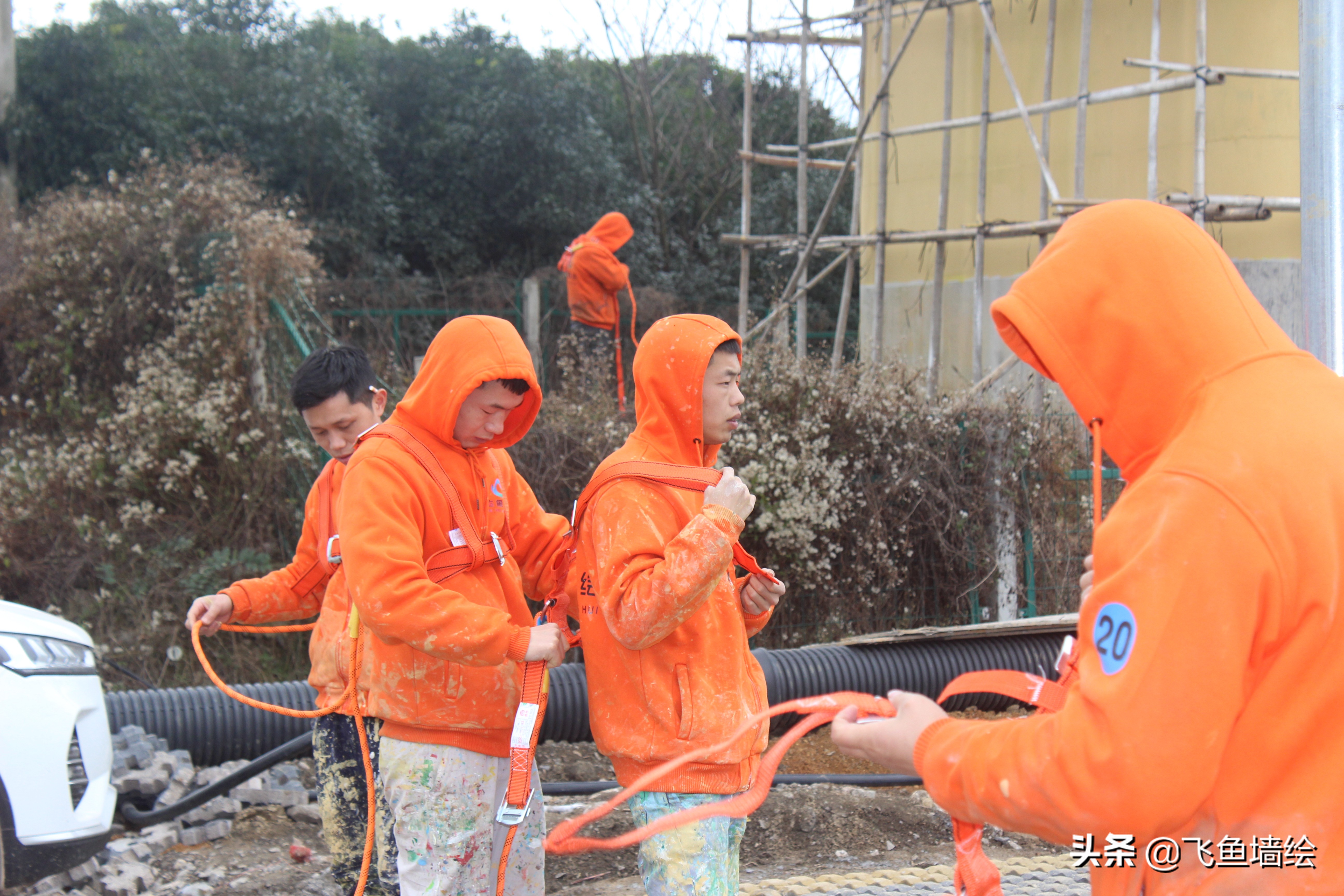 学墙绘去哪儿学,学外墙墙绘去哪里学