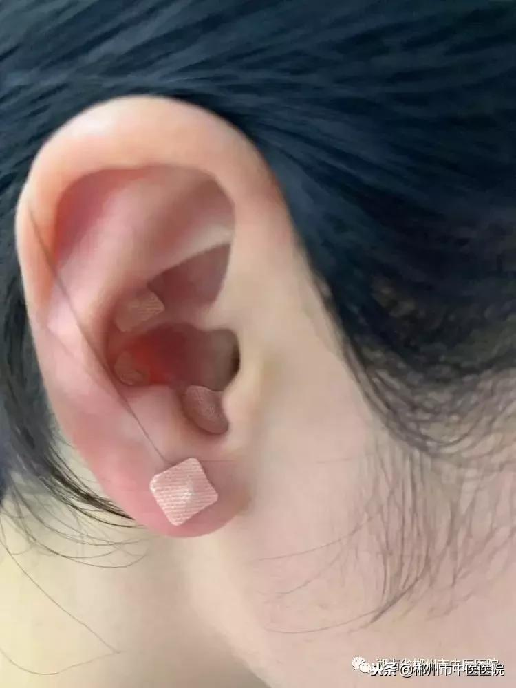 当豆豆遇上咖喱拌饭,当豆子遇见海螺