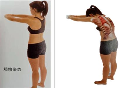 经常玩电脑腰酸背痛？大神教你6个独家拉伸技巧，背部轻松365天