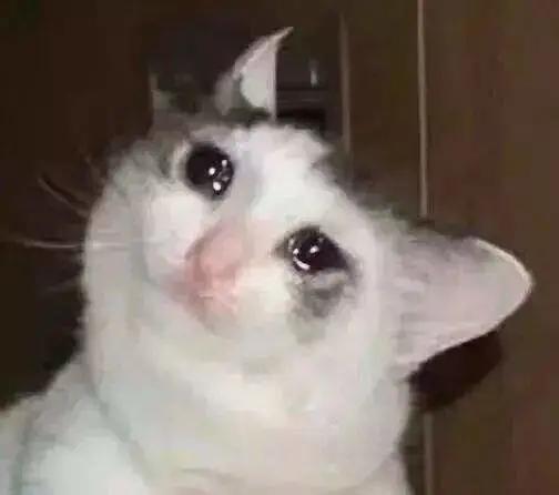 奇怪的知识增加了动图,奇怪的知识又增加了表情