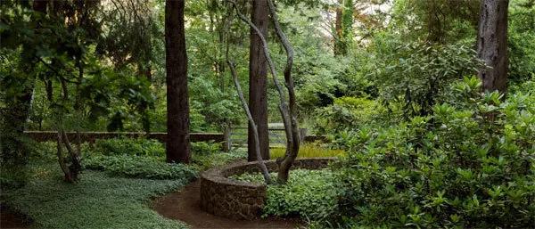 花园设计前沿趋势|14种澳洲庭院花园类型(上篇),全面细致