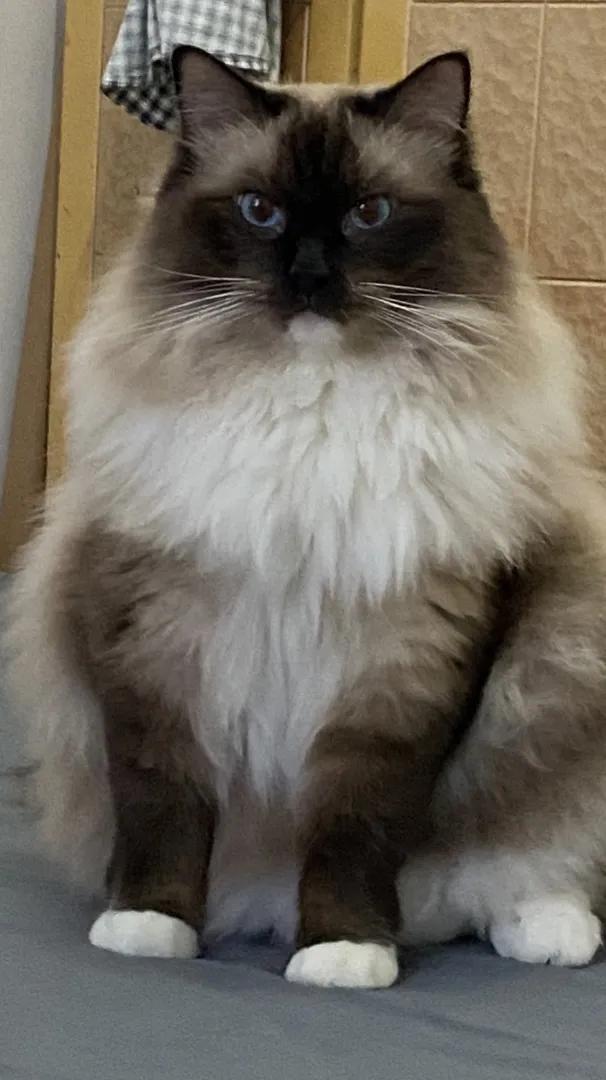 福州租房图鉴大全,福州福湾租房800元以下