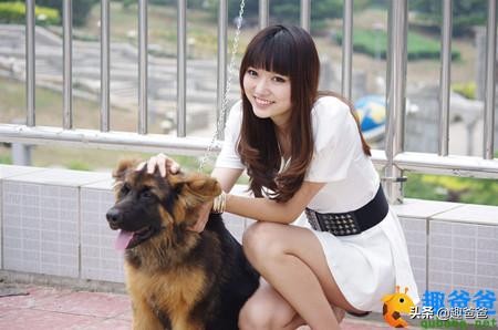 狗的寓言故事,有关狗的寓言故事