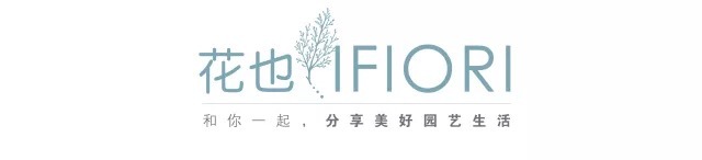 春节好饭,春节乡下美食攻略