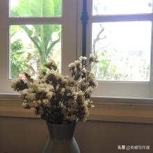 汪曾祺《晚饭花》原文欣赏,汪曾祺小说晚饭花赏析