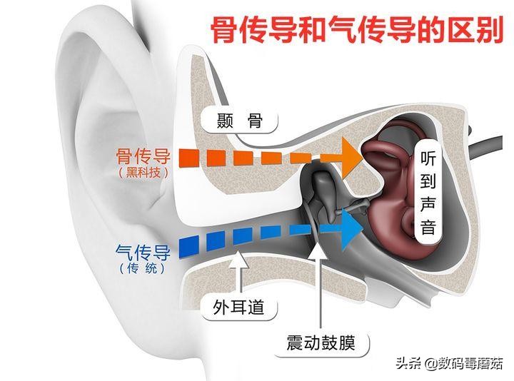 跑起来更精彩：这些国货电子装备，好用又便宜