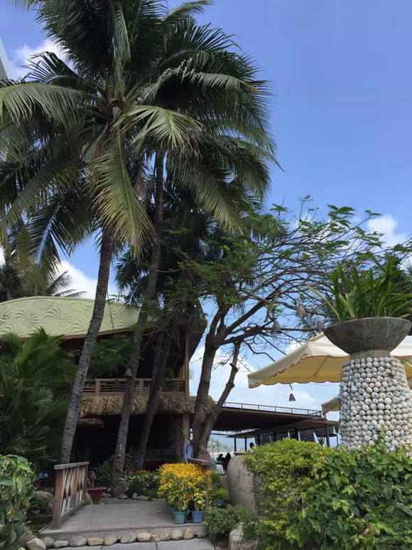 越南芽庄旅游攻略美食,武汉到越南芽庄的攻略