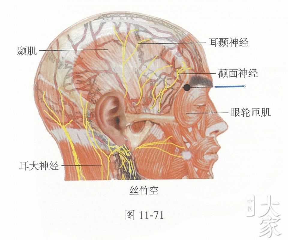 头晕目眩，眼睛里出现亮光可按摩此穴，并且有消除鱼尾纹的作用