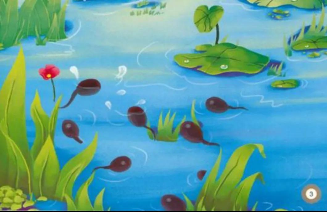 可爱的小蝌蚪视频,可爱的小蝌蚪三年级300字