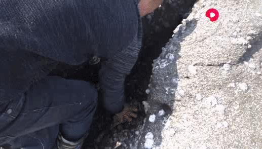 “渔人阿烽”上央视，讲述西瓜视频赶海创作者的成长史