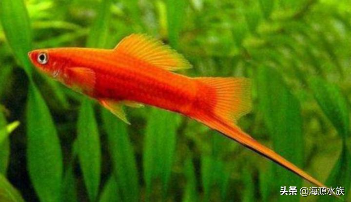 从外表到内在再到灵魂,从外表到内在